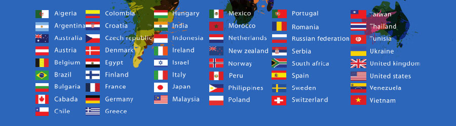 外贸独立站制作小语种网站建设  第1张