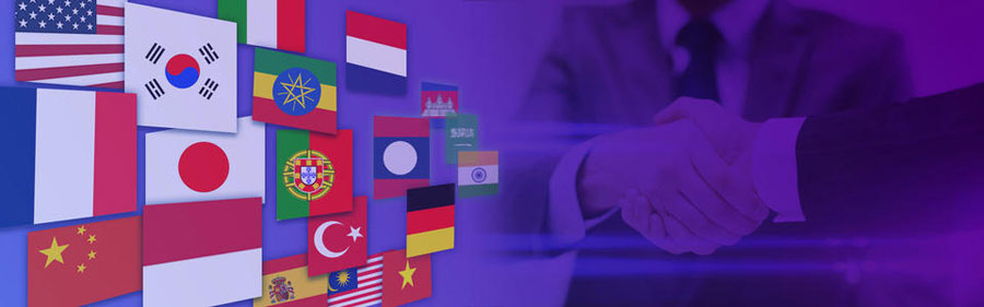 外贸独立站制作小语种网站建设  第2张